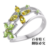 䱦ʯָ